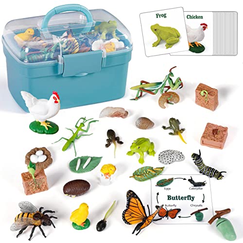 Life Cycle Learning & Education Toys, 25 Pieces Animal Toys
