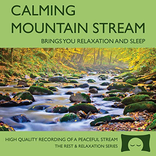 Calming Mountain Stream - Babbling Brook Nature Recording - Brings