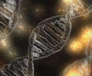 New way of life: Scientists create the first semisynthetic life form with artificial DNA
