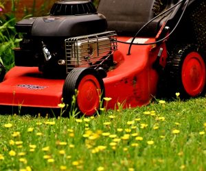 How Does A Lawn Mower Work Exactly