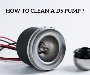 How to Clean a D5 Pump and Why You Should Do It Regularly?