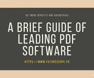 PDFBear: Brief Guide About Your Leading PDF Software