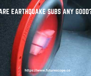 Are Earthquake Subs Any Good?