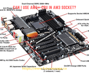 Can I Use AM3+ CPU in AM3 Socket?