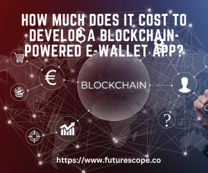 How Much Does It Cost to Develop a Blockchain-Powered E-Wallet App?