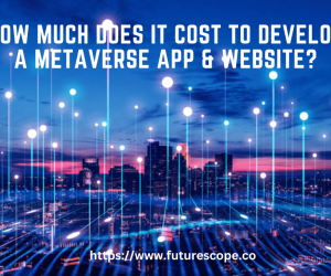 How Much Does It Cost to Develop a Metaverse App & Website?