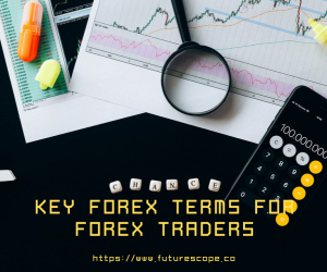 Six Forex Terms Forex Traders Should Know