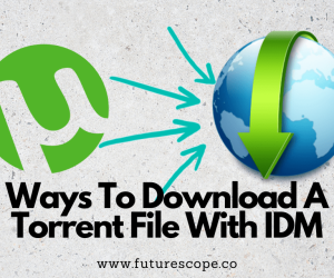 How can I download a torrent file with IDM?(Torrent to IDM)