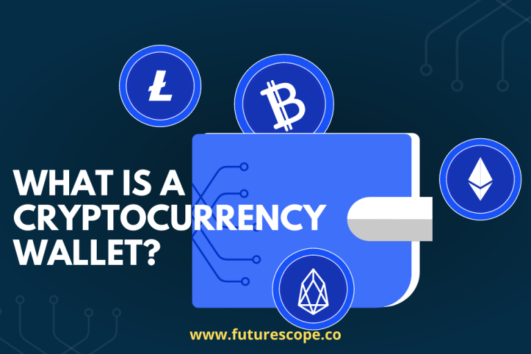 What is a Cryptocurrency Wallet