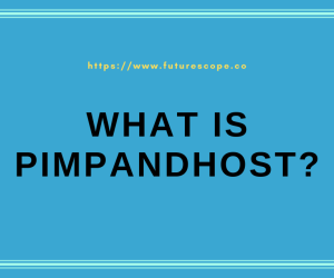 What Is PimpAndHost? Is PimpAndHost Site Really Down?
