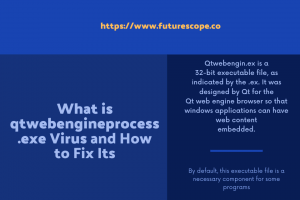 What Is QtWebEngineProcess.exe