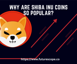 Why Are Shiba Inu Coins So Popular? The Rise of the Dogecoin-Inspired Cryptocurrency