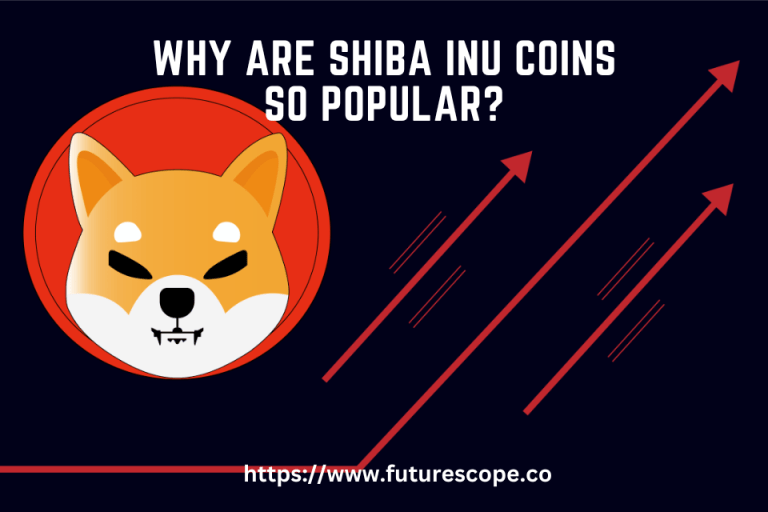 Why Are Shiba Inu Coins So Popular