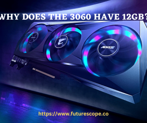 Why Does the 3060 Have 12GB?
